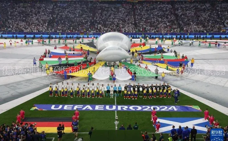 球速体育app官方下载华扬联众揭秘中国足球运动员申花：过往辉煌与未来发展前景