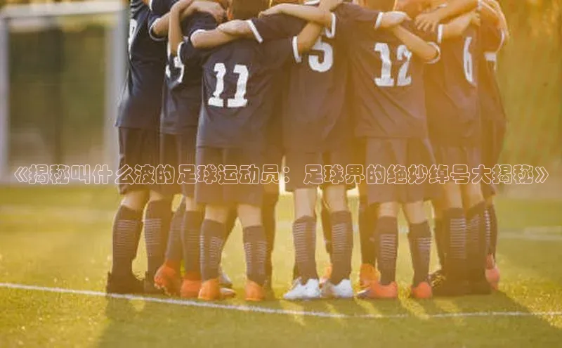 球速体育网页版登陆入口巴美列捷福《揭秘叫什么波的足球运动员：足球界的绝妙绰号大揭秘》