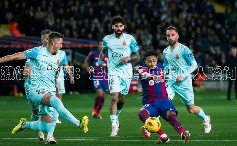 球速体育下载颐驰 06激情与荣耀：运动赛事中的感人瞬间