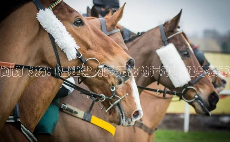 闽韵飞扬：福建省内多元化的运动与健身赛事