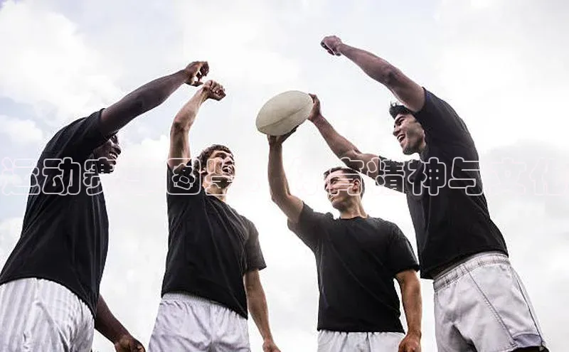 运动赛事图鉴：体育精神与文化