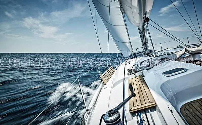 荣耀与激情：运动会赛事的魅力与意义演讲稿