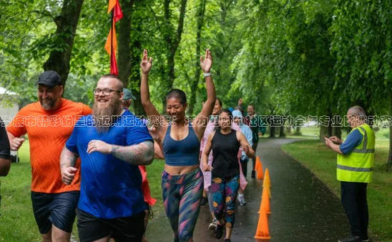 娄底市精彩纷呈的近期运动赛事：活力四射的社区运动会与专业比赛动态