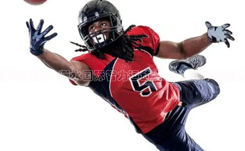 衡拳智影：衡水国际智力运动赛事的魅力与创新