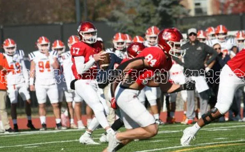 超越极限：运动赛事中的小知识大全