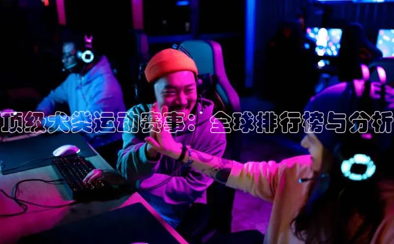 顶级犬类运动赛事：全球排行榜与分析