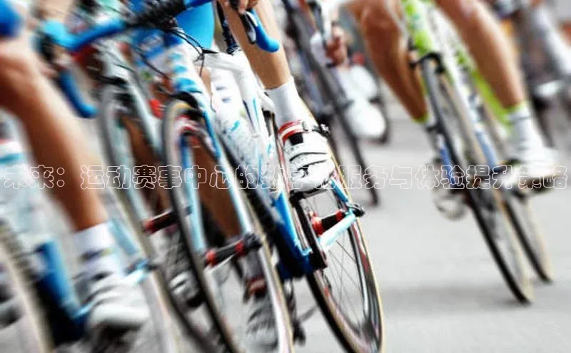 未来：运动赛事中心的数字化服务与体验提升策略