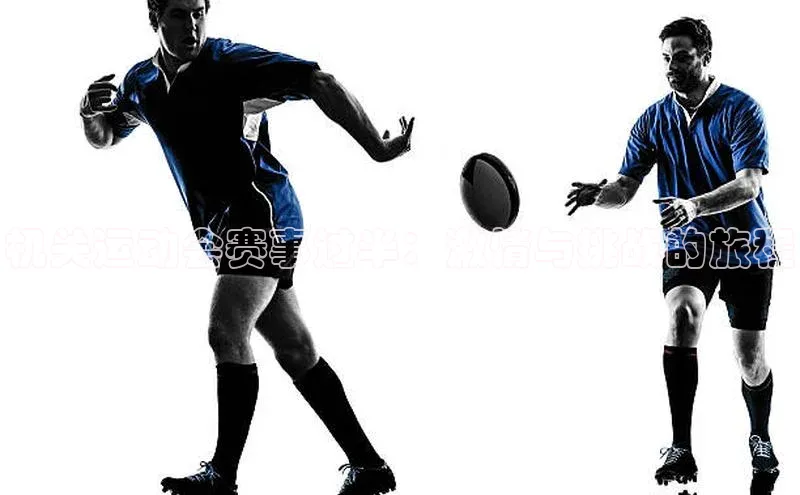 球速体育app官网入口