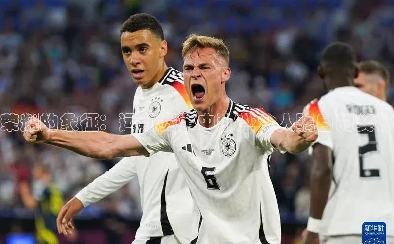 球速体育网页版