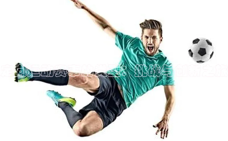 球速体育网页版