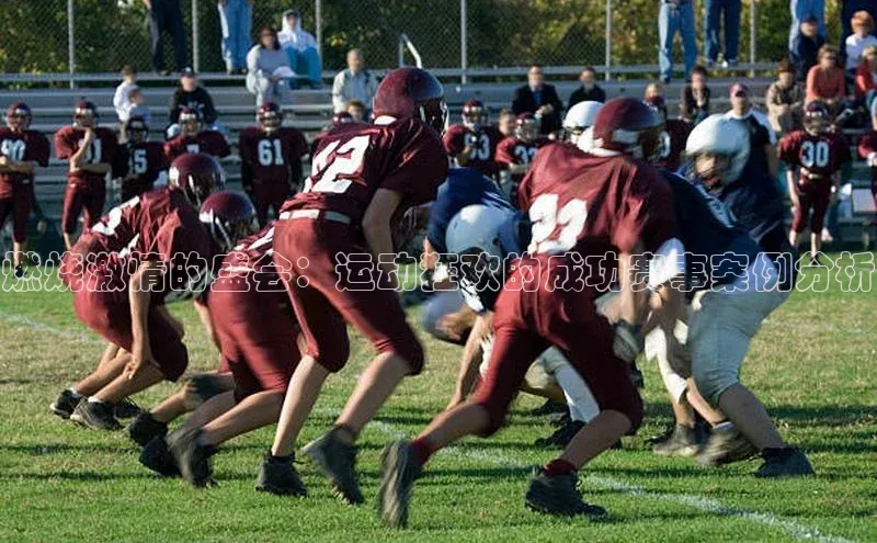 速球app下载入口