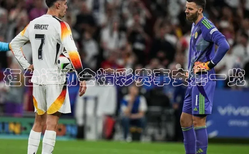 球速体育网页版登陆入口