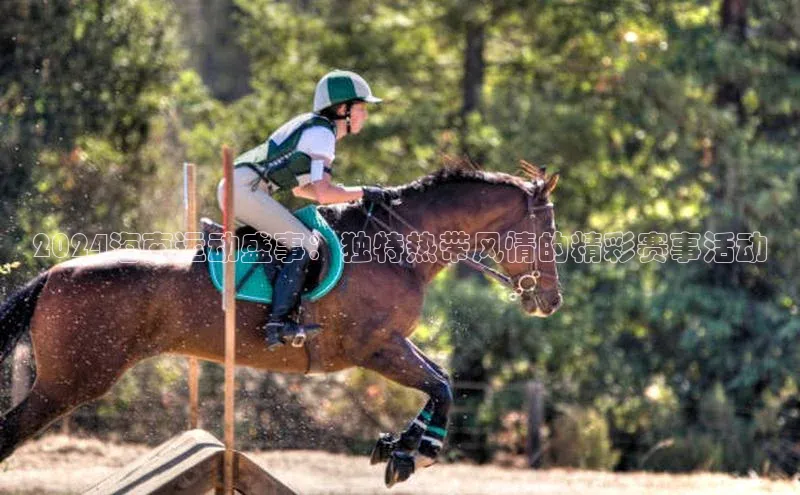 球速体育app下载地址手机版